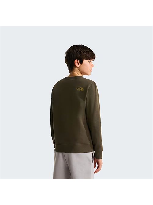 Felpa Drew Peak da ragazzi THE NORTH FACE | NF0A8AXX21L1